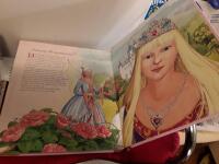 Prinsessornas nyb&ouml;rjarbok. Den goda  fens anvisningar f&ouml;r nya prinsessor