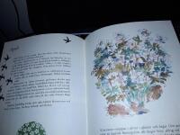 En svensk naturdagbok / Lena Larsson.