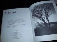 En svensk naturdagbok / Lena Larsson.