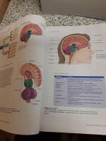 Atkinson & Hilgard's introduction to psychology / Edward Smith.. + &ldquo; lecture outline for note taking for atkinson introduction&rdquo; !4-th ed.