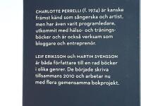 Flickan fr&aring;n Sm&aring;land