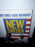 New Sweden : [en liten bit av Amerika] : [en resa i tid och rum]