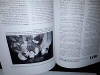 Hundra &aring;r av nyheter med V&auml;sterbottens-kuriren : h&auml;ndelser i text och bild fr&aring;n ett helt sekel / sammanst&auml;llda av Lars Westerlund.