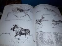 J&auml;garens uppslagsbok / huvudredakt&ouml;r: Karl Henning.