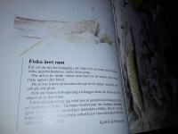 Fiska : &aring;ret runt - i alla vatten / Kjell-Erik Pettersson ; teckningar: Thommy Gustavsson.