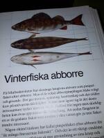 Fiskeskolan Vinterfiske / texter av Olle Bergfors ..
