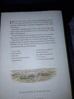 Den nya nordiska floran / Bo Mossberg, Lennart Stenberg ; faktagranskning: Thomas Karlsson.