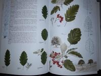 Den nya nordiska floran / Bo Mossberg, Lennart Stenberg ; faktagranskning: Thomas Karlsson.