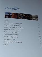 -igenom gode ordningar och flitigt upseende- : Bergsstaten 375 &aring;r