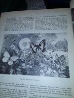 Sveriges rike : Handbok f&ouml;r det svenska folket, [ Del II]  utg. under red. af J.F.Nystr&ouml;m