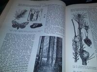 Sveriges rike : Handbok f&ouml;r det svenska folket, [ Del II]  utg. under red. af J.F.Nystr&ouml;m