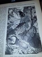 Sveriges rike : Handbok f&ouml;r det svenska folket, [ Del II]  utg. under red. af J.F.Nystr&ouml;m