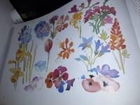 Akvarell f&ouml;r nyb&ouml;rjare : tekniken steg f&ouml;r steg / Anne Elsworth ; &ouml;vers&auml;ttning: Barbro Ahlstr&ouml;m ; fackgranskning: Urban Ekelund.