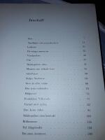 Det stora &auml;ventyret /&nbsp;Arne Sucksdorff ; stillbilder: Astrid Bergman.