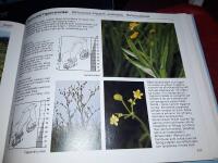 Vilda blommor i v&aring;ra marker : fotografisk flora i f&auml;rg / text: Rolf Jonsson ; bild: &Aring;ke Lindau ; redakt&ouml;r: Jan Moen ; [botanisk granskning: Yngve Johansson, Roland Staav] ; [teckningar: My Gillberg].