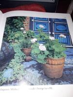  Pelargoner / Christa Holm : [foto: Christa Holm].