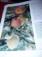 De bästa växterna för tomt & trädgård / Lisa Winnerlid och Sven-Gösta Johansson.