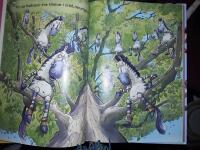 Albin och [om en liten kille i en helsnurrig v&auml;rld!] / av Andy Cutbill ; illustrationer av Andy Cutbill och Mark Stacey ; [svensk &ouml;vers&auml;ttning: Ulf Hylt&eacute;n-Cavallius].