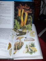 (2 svampb&ouml;cker) Hitta r&auml;tt i svampskogen : expertens r&aring;d om vilka svampar som v&auml;xer var / Bo Nyl&eacute;n + Svampar i naturen / bild: Bo Mossberg ; text: Sven Nilsson, Olle Persson.