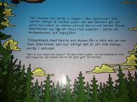 (3 barnb&ouml;cker ) Norris g&aring;r skallg&aring;ng + Norris och den blommiga skolv&auml;skan + Norris och Sunna p&aring; sopjakt / [f&ouml;rfattare: Karin Drangel ; illustrat&ouml;r: Arvid Steen].