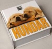 Hundar  Cube Book