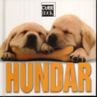 Hundar  Cube Book