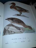 V&aring;ra svenska f&aring;glar i f&auml;rg 1