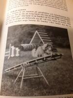 Mera agility / Marie Hansson ; [fotografier: Gunilla Arlenstam ...].