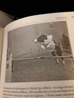 Mera agility / Marie Hansson ; [fotografier: Gunilla Arlenstam ...].