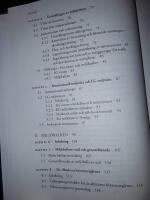 Den svenska milj&ouml;r&auml;tten / Gabriel Michanek, Charlotta Zetterberg