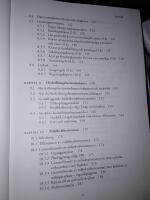 Den svenska milj&ouml;r&auml;tten / Gabriel Michanek, Charlotta Zetterberg