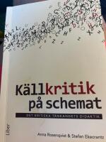 K&auml;llkritik p&aring; schemat : det kritiska t&auml;nkandets didaktik