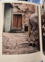 Mutations Perspectives on Photography   