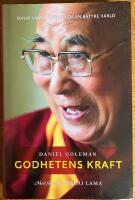 Godhetens kraft : Dalai Lamas vision f&ouml;r en b&auml;ttre v&auml;rld