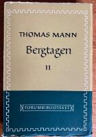 Bergtagen II