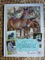 DR&Ouml;MH&Auml;STAR