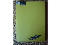 ERFARENHETER AV REGELN OM VUXENMEDVERKAN P&Aring; BIOGRAF - TILLSAMMANS - V&Aring;LDSSKILDRINGSR&Aring;DETS SKRIFTSERIE NR 27