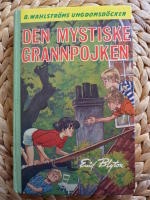 DEN MYSTISKE GRANNPOJKEN