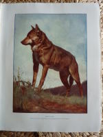 DE LEFVANDE DJUREN P&Aring; JORDEN DEL 1