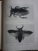 DE LEFVANDE DJUREN P&Aring; JORDEN DEL 2