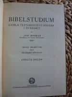 BIBELSTUDIUM 1 -  GAMLA TESTAMENTETS B&Ouml;CKER I &Ouml;VERSIKT