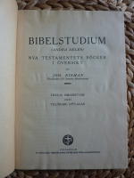BIBELSTUDIUM II - NYA TESTAMENTETS B&Ouml;CKER I &Ouml;VERSIKT