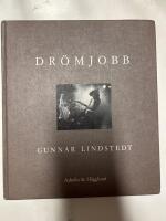 Dr&ouml;mjobb : om framtiden i Sverige