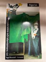 Algeriet : Demokratins och Islamismens Tid