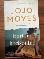 Bortom horisonten