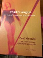 Positiv &aring;ngest : hos individen, gruppen och organisationen : ett organisationspsykologiskt perspektiv
