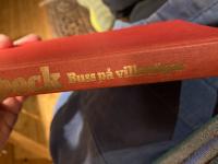 Buss p&aring; villov&auml;gar