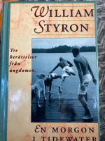 En morgon i Tidewater : tre ber&auml;ttelser fr&aring;n ungdomen
