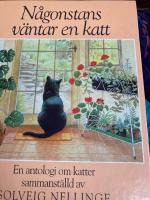 N&aring;gonstans v&auml;ntar en katt