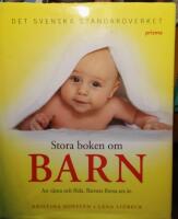 Stora boken om barn : att v&auml;nta och f&ouml;da : barnets f&ouml;rsta sex &aring;r